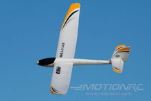 Load image into Gallery viewer, E-flite UMX Radian with AS3X 730mm (28.7") Wingspan - BNF