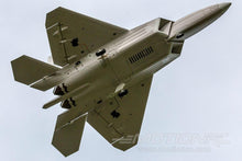 Load image into Gallery viewer, Freewing F-22 Raptor 64mm EDF Jet - PNP