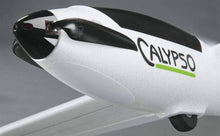 Load image into Gallery viewer, Flyzone Calypso Glider 1855mm (73&quot;) Wingspan - RXR
