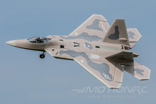 Load image into Gallery viewer, Freewing F-22 Raptor 64mm EDF Jet - PNP
